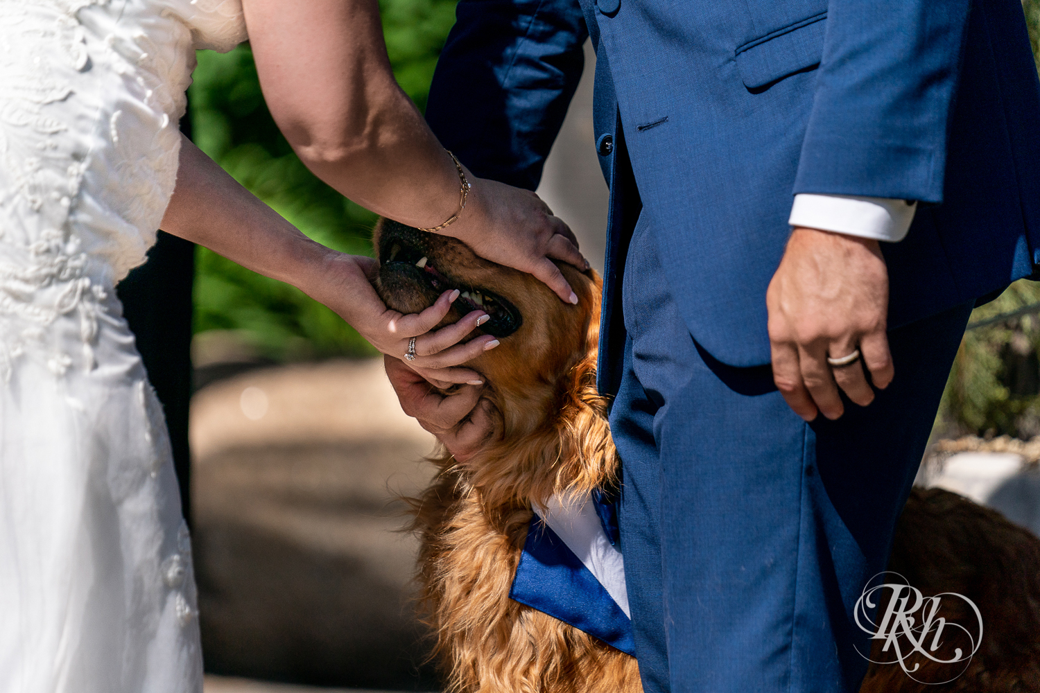 Bride and groom pet dog at wedding ceremony at Pine Peaks Event Center in Pine River, Minnesota.