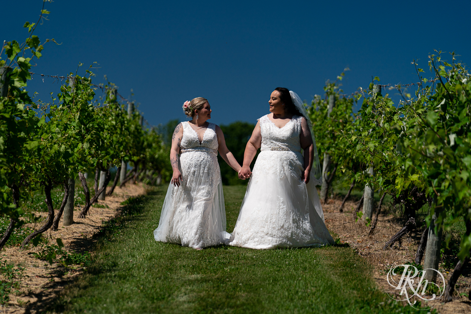 Lesbian brides kiss in vineyard during wedding day at Cannon River Winery in Cannon Falls, Minnesota.
