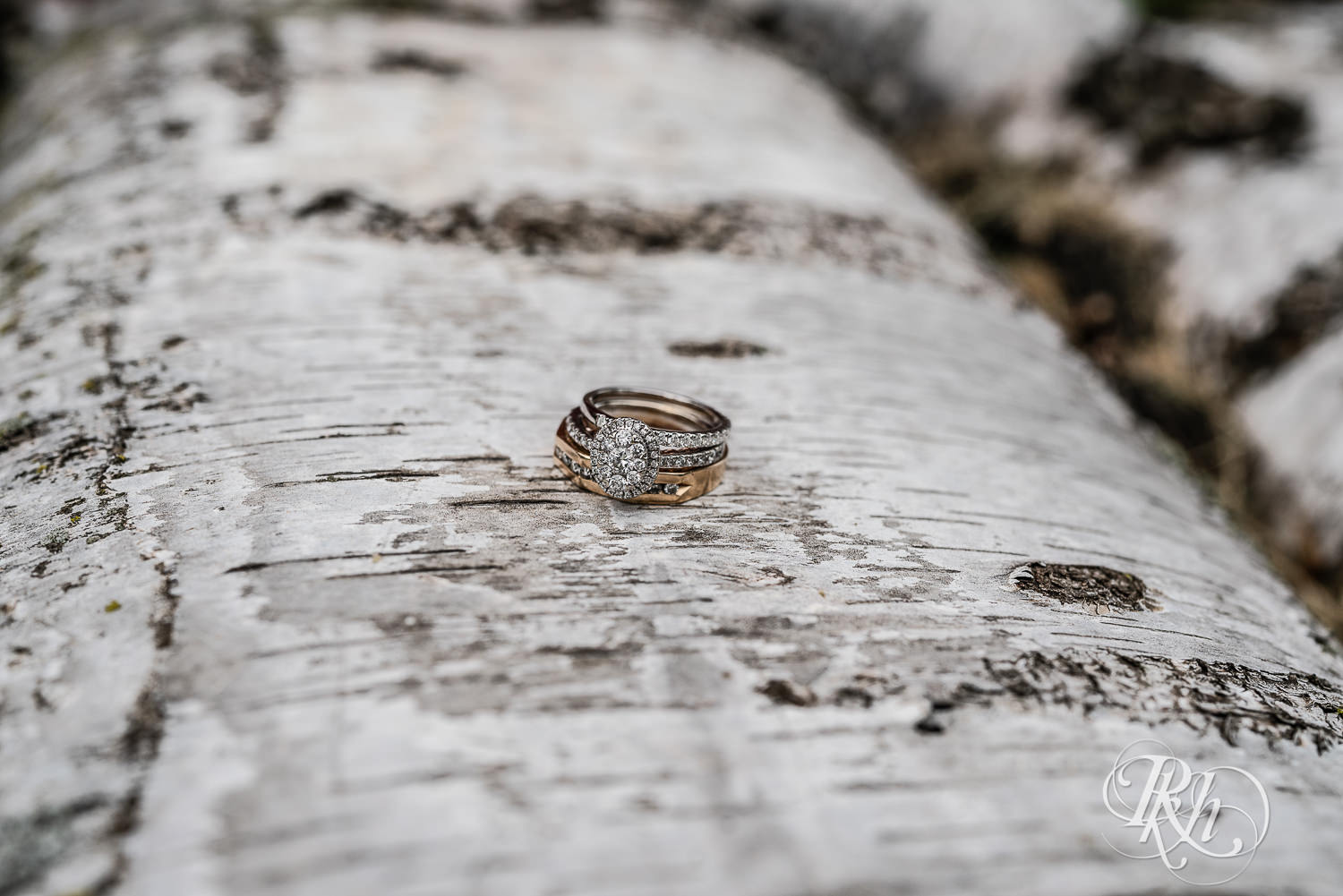 Wedding rings placed on birch tree. 