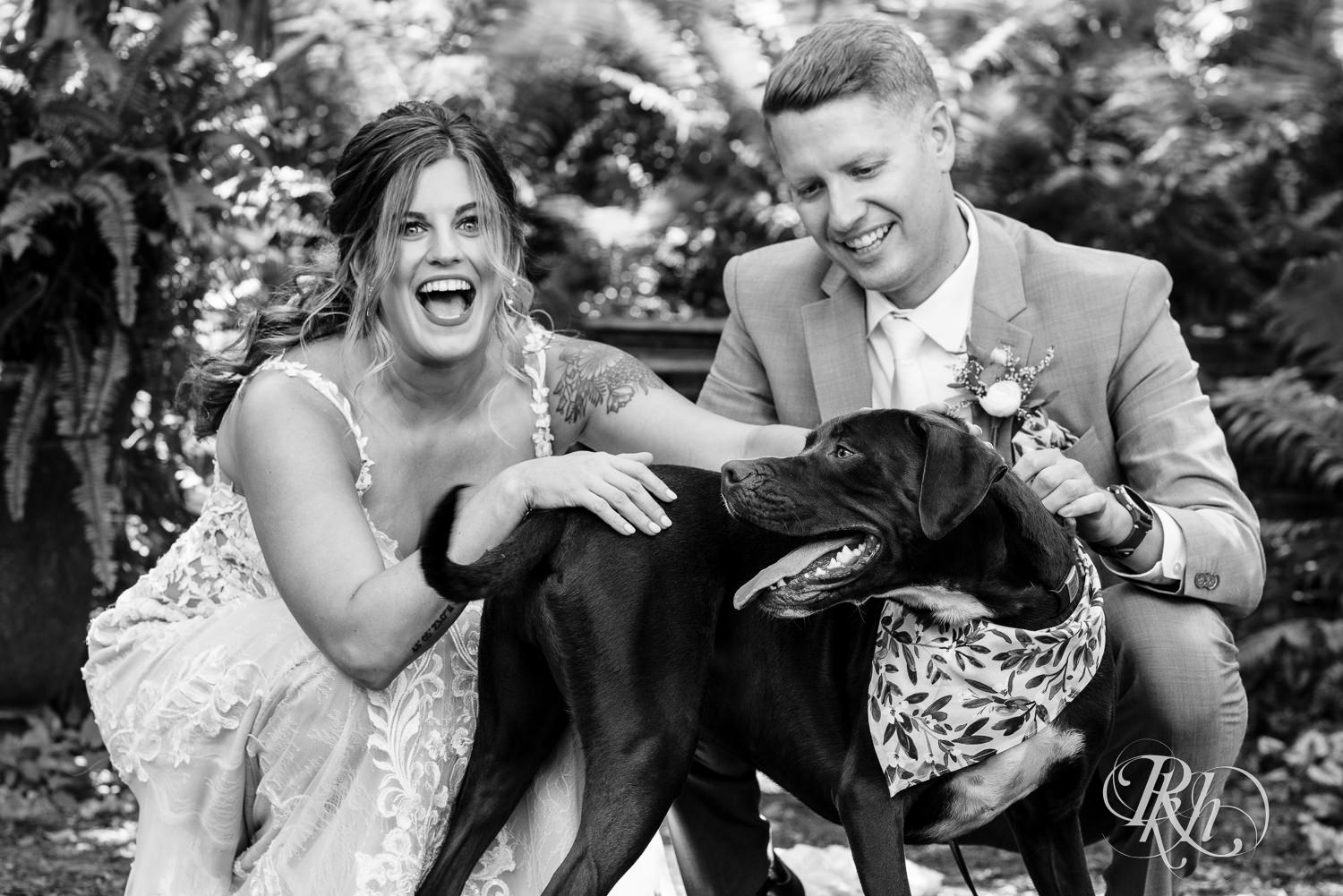 Bride and groom with their dog at Camrose Hill Flower Farm in Stillwater, Minnesota.