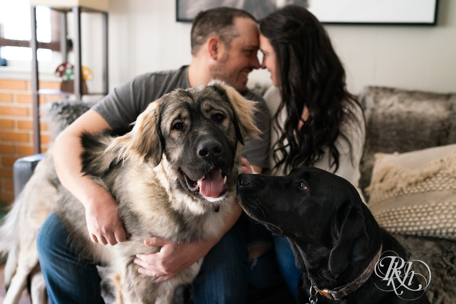 Man and woman smile with their Caucasian Shepard and Black Lab in a cabin in Pine City, Minnesota.