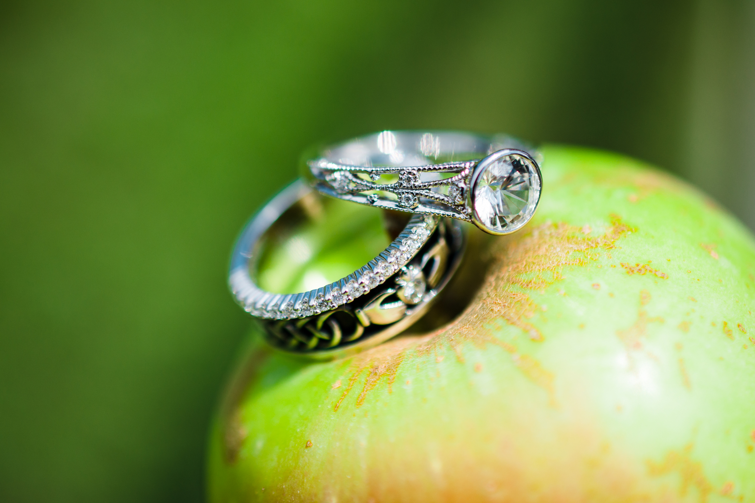 Apple Orchard Wedding