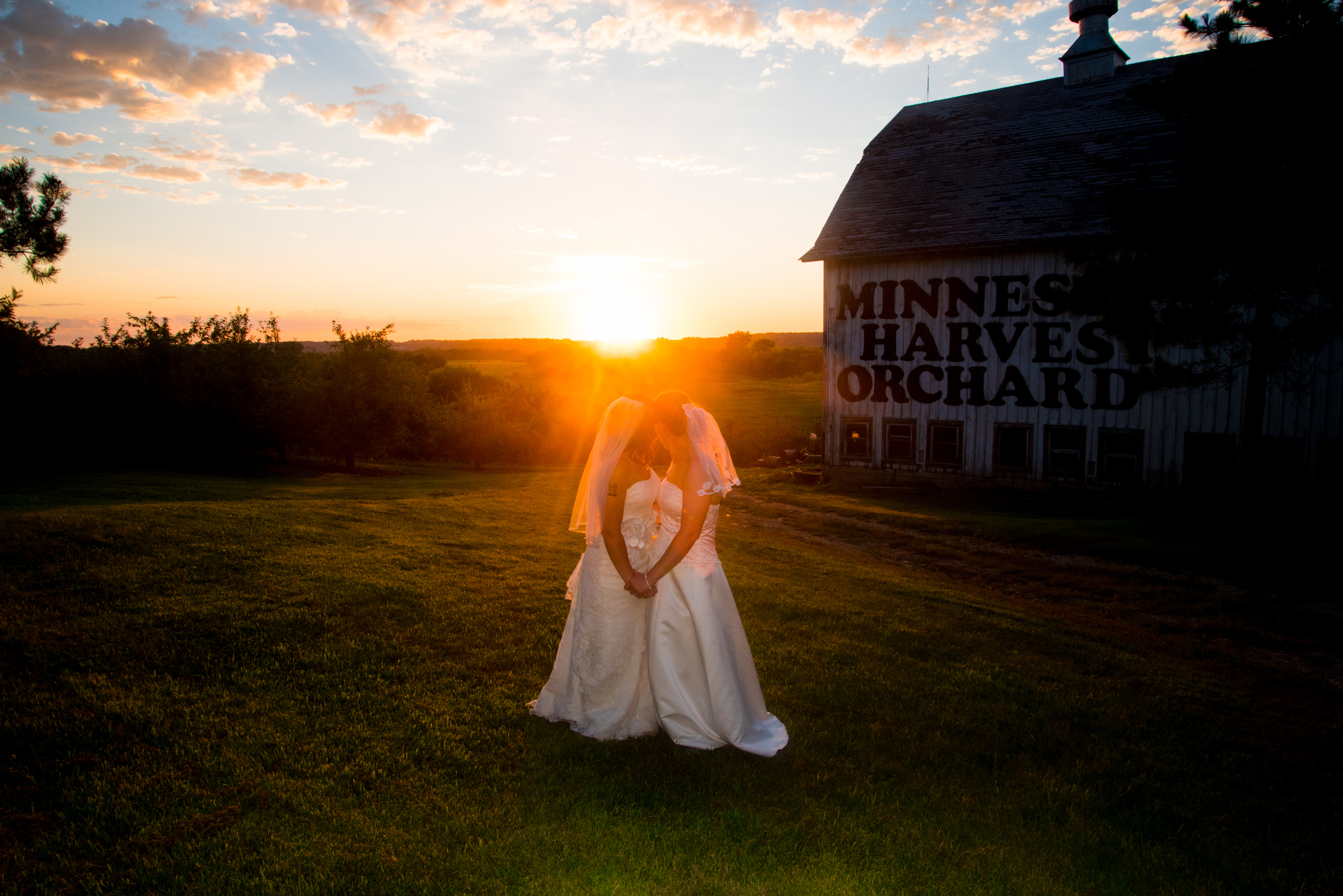 Apple Orchard Wedding