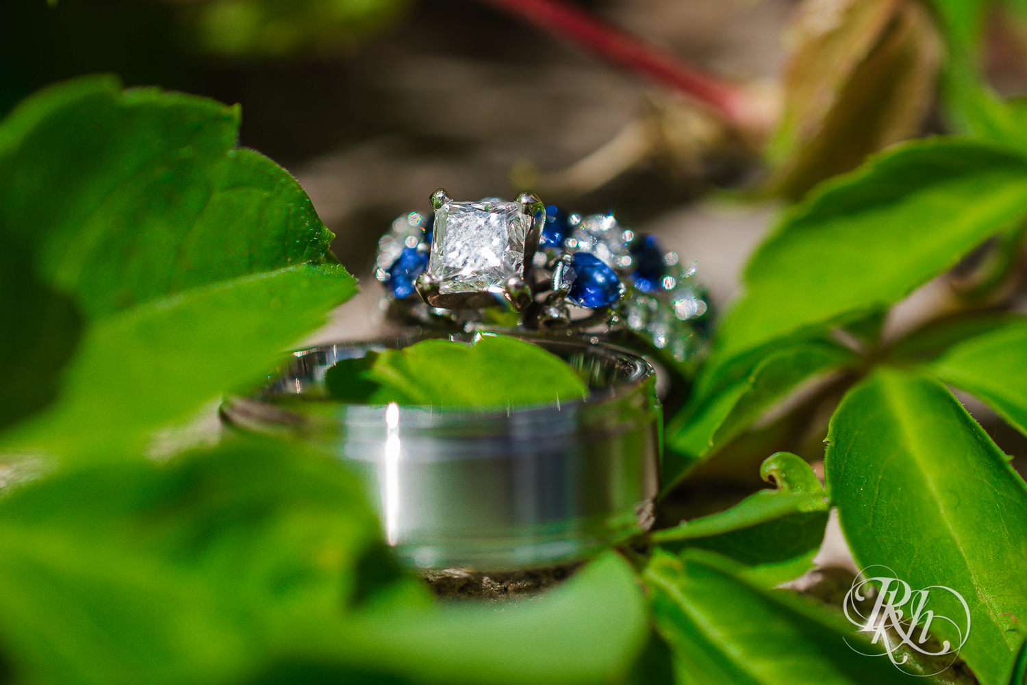 Wedding rings sitting on green leaves.