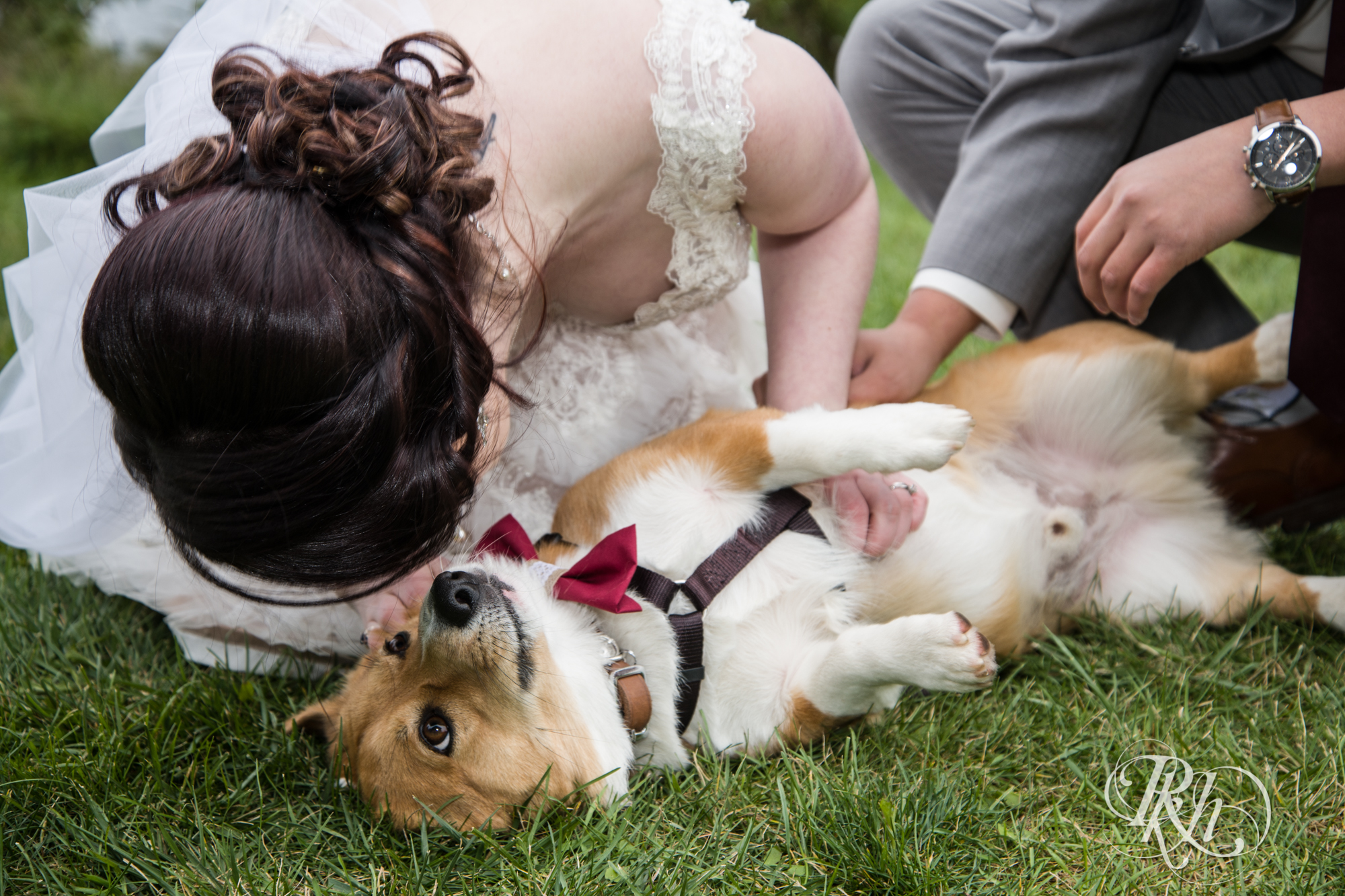 Bride and groom play with Corgi at Grand Superior Lodge in Two Harbors, Minnesota.
