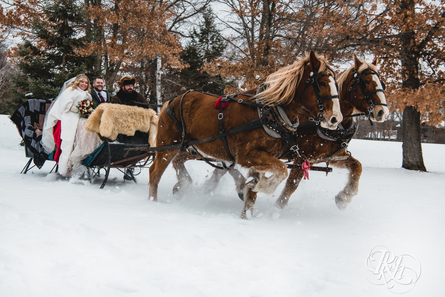 Bride and groom ride on a horse drawn sleigh during winter wedding at Whitefish Lodge in Crosslake, Minnesota.