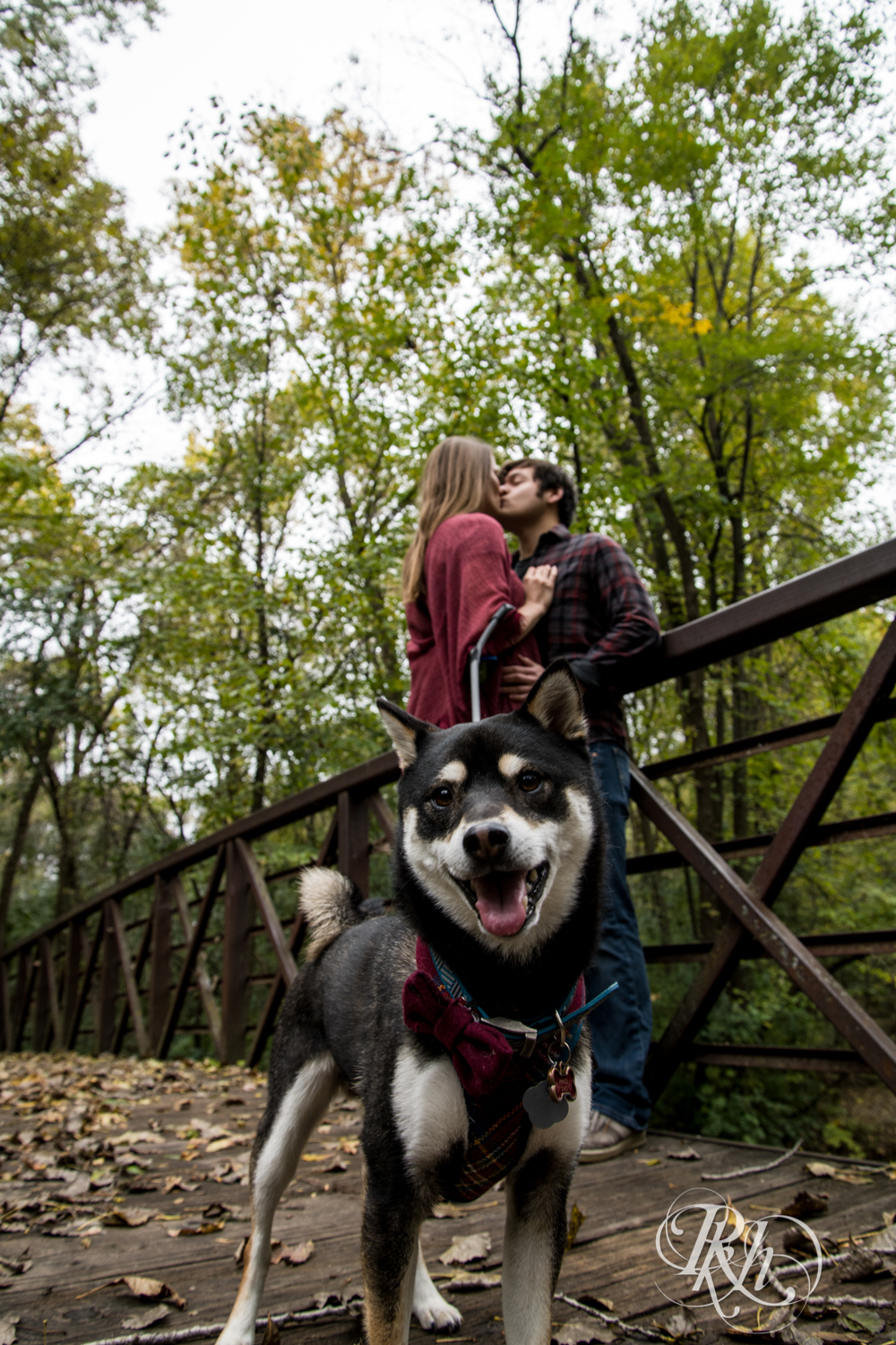 Man and woman kiss on bridge in Minneapolis, Minnesota with Shiba Inu puppy looking at the camera.