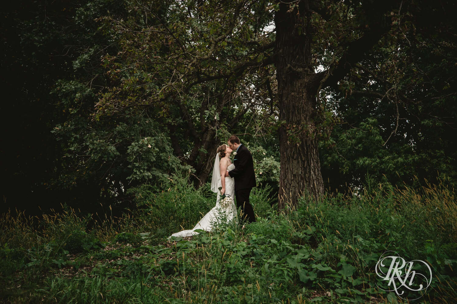 Bride and groom kiss under tree at Eagan Central Park