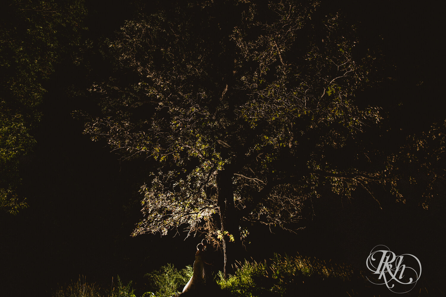 Bride and groom kiss under a tree at night at Eagan Community Center in Eagan, Minnesota.