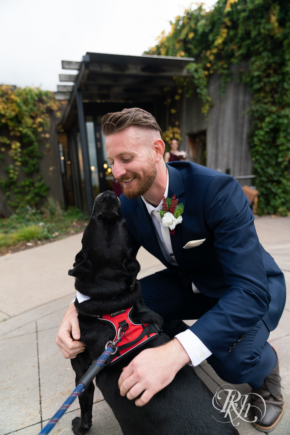 Groom in blue suit playing with black lab at Schaar's Bluff in Hastings, Minnesota. 