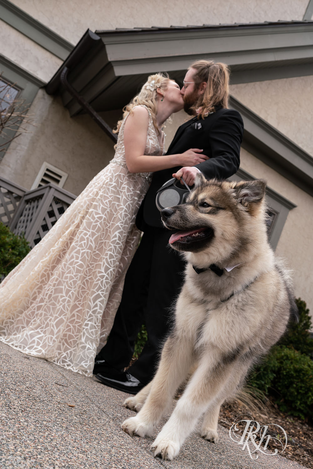 Bride and groom kiss with Malamute puppy at Rush Creek Golf Club in Maple Grove, Minnesota.