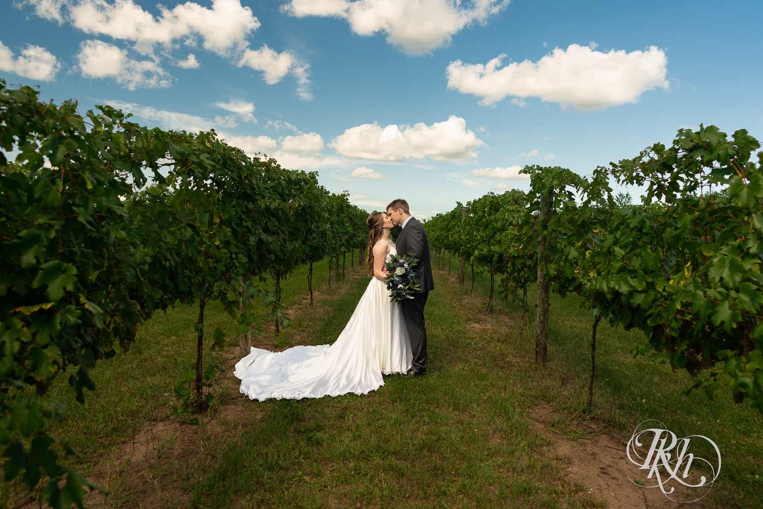 Bride and groom at a summer wedding kissing in the middle of a vineyard.